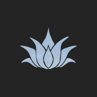 vinyasa_with_trish