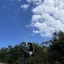 cwingyoga_